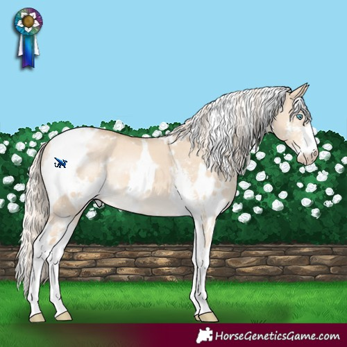 Horse Color:White Spotted Cremello Dun Sabino 