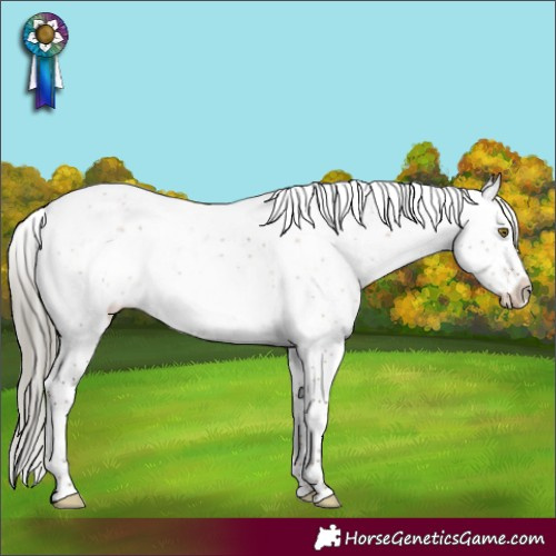 Horse Color:Liver Red Dun Mushroom Sabino
