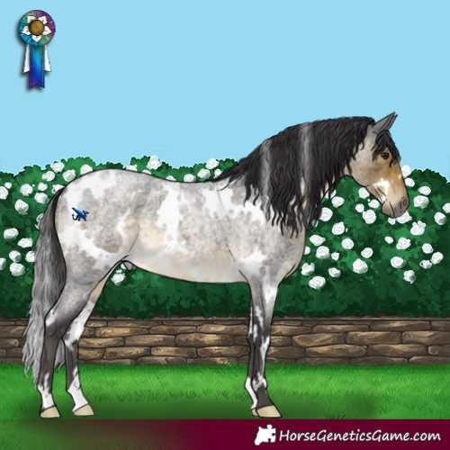 Horse Color:White Spotted Buckskin Roan Mushroom