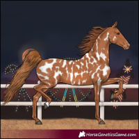 Horse Color:Chestnut Near Leopard