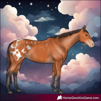 Horse Color:Bay Blanket