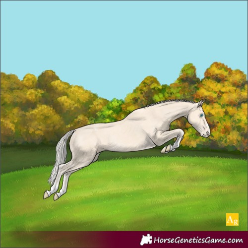 Horse Color:Cremello Varnish Rabicano