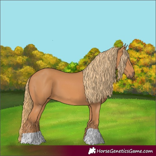 Horse Color:Unknown 