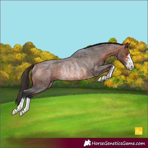 Horse Color:Bay Roan Varnish Rabicano 