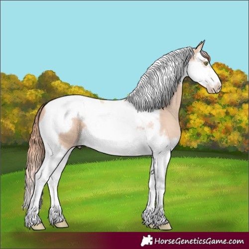 Horse Color:Gold Champagne Dun Splash Tobiano Frame