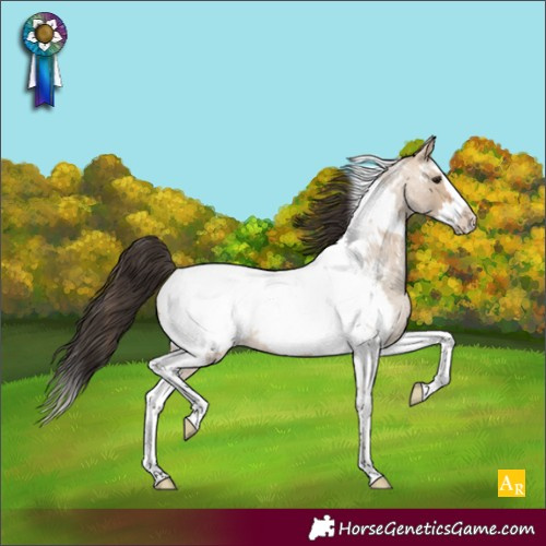 Horse Color:Bay Roan Dun Splash Tobiano Appaloosa 