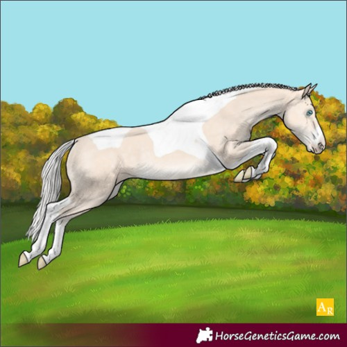 Horse Color:Silver Perlino Tobiano Varnish Rabicano 