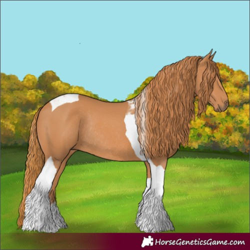 Horse Color:Chestnut Tobiano Rabicano