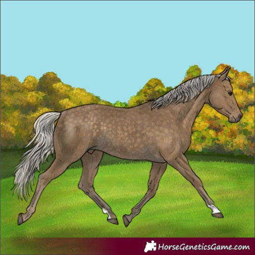 Horse Color:Silver Smoky Black Rabicano