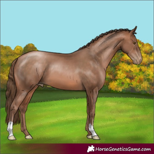 Horse Color:Brown Pearl 