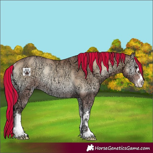 Horse Color:Painted Amber Champagne Ice Onyx Rabicano 