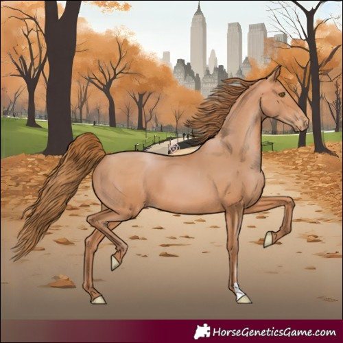 Horse Color:Bay Pearl 
