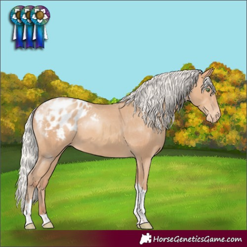 Horse Color:Silver Amber Champagne Tobiano Appaloosa 