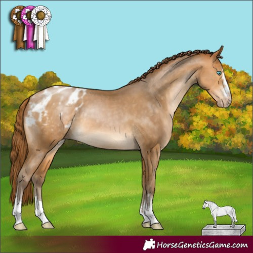 Horse Color:Gray Buckskin Pearl Varnish 