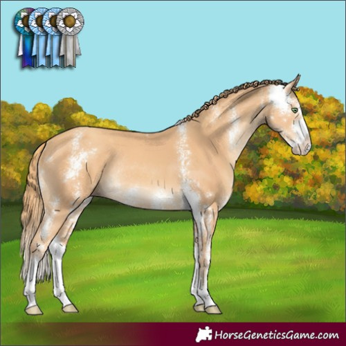 Horse Color:Gold Champagne Sabino Rabicano