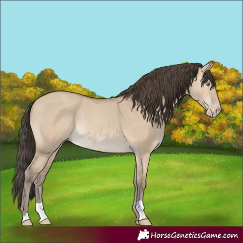 Horse Color:Amber Champagne Dun Rabicano 