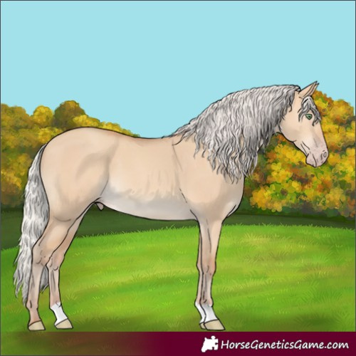 Horse Color:Silver Amber Champagne Dun