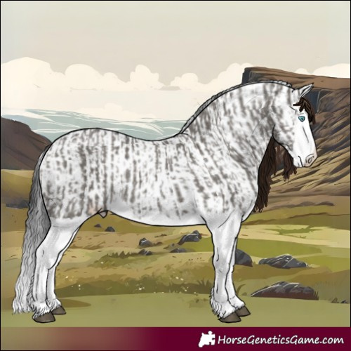 Horse Color:Grullo Sabino Splash  and Grullo Sabino Splash 
