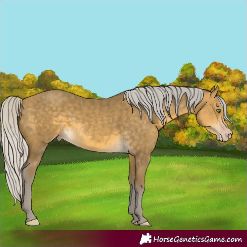 Horse Color:Silver Sable Cream Champagne