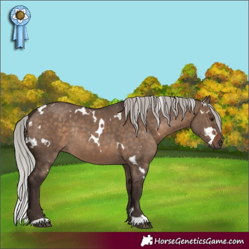 Horse Color:White Spotted Silver Brown Dun Rabicano 