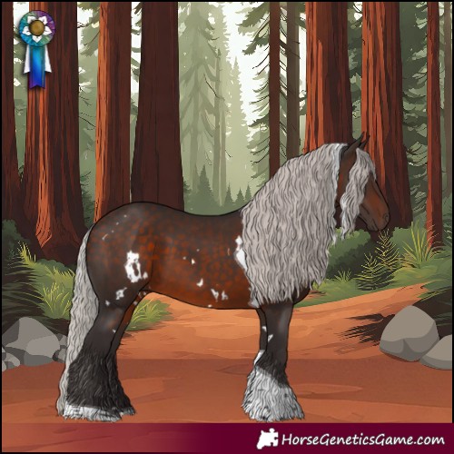 Horse Color:White Spotted Silver Brown Tobiano 