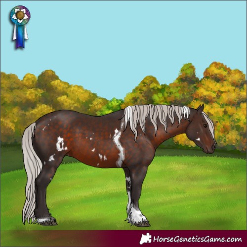 Horse Color:White Spotted Silver Brown Tobiano 