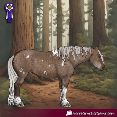 Horse Color:White Spotted Silver Brown Dun Tobiano