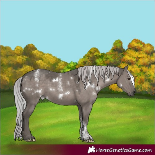 Horse Color:Powder White Platinum White Spotted Silver Grullo 