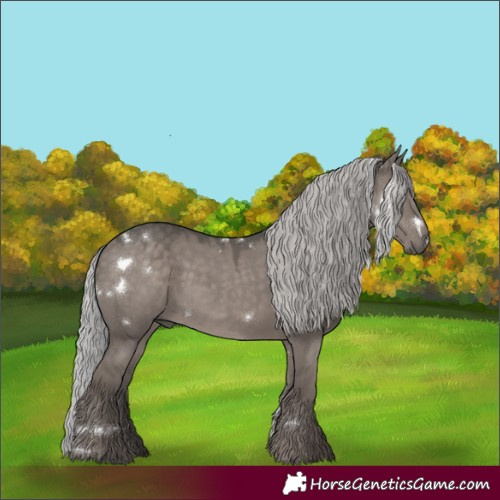 Horse Color:Platinum White Spotted Silver Grullo Rabicano 