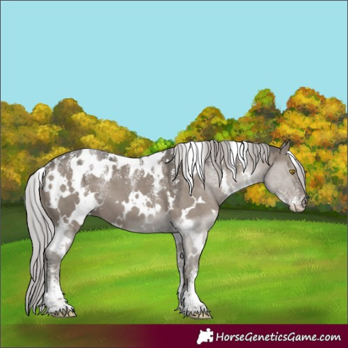 Horse Color:Powder White Platinum White Spotted Silver Grullo 