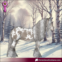 Horse Color:Powder White Platinum White Spotted Silver Grullo 