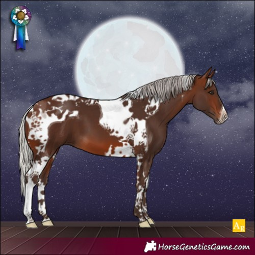 Horse Color:Silver Brown Tobiano 