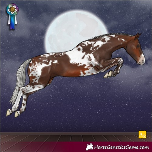 Horse Color:Silver Brown Tobiano