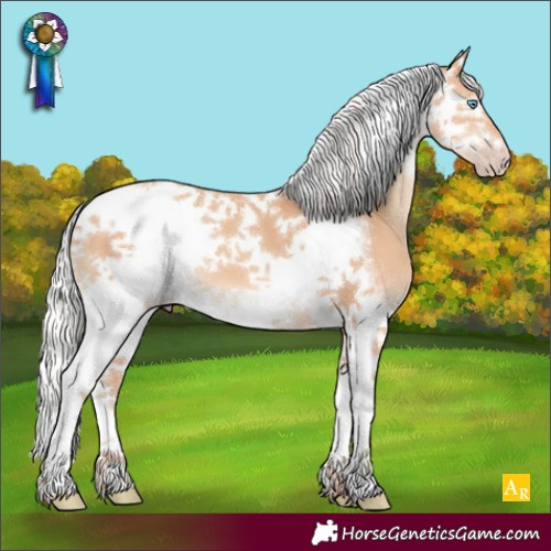 Horse Color:Silver Amber Champagne Splash Tobiano Frame