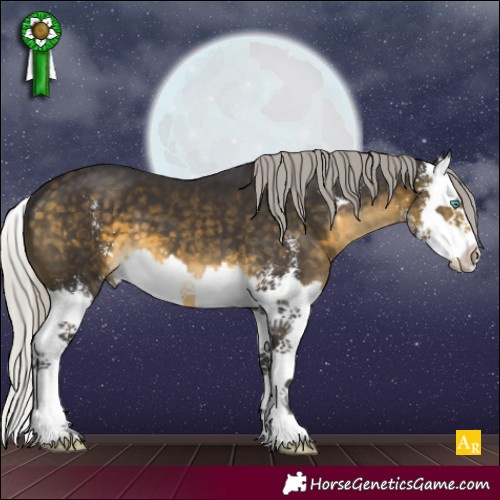 Horse Color:Silver Buckskin Sabino Splash 