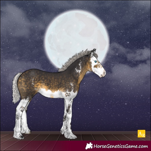 Horse Color:Silver Buckskin Sabino Splash