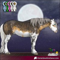 Horse Color:Silver Buckskin Sabino Splash 