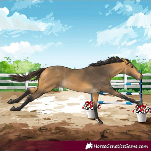 Horse Color:Buckskin