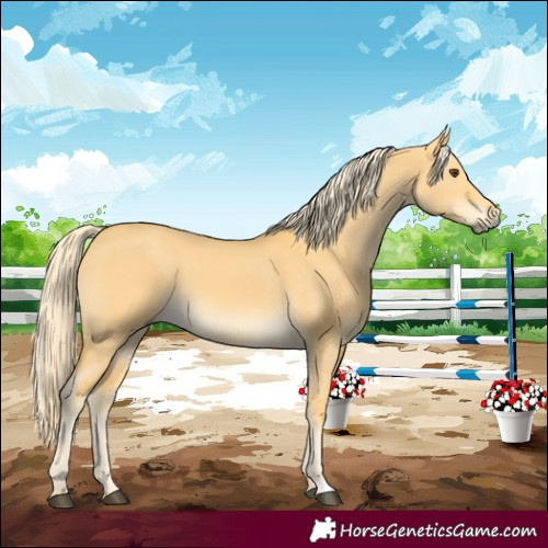 Horse Color:Palomino Dun 