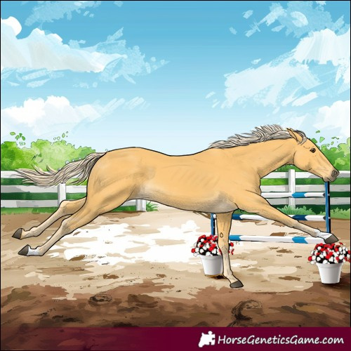 Horse Color:Palomino 