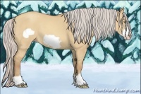 Horse Color:Silver Sable Champagne Dun Frame 