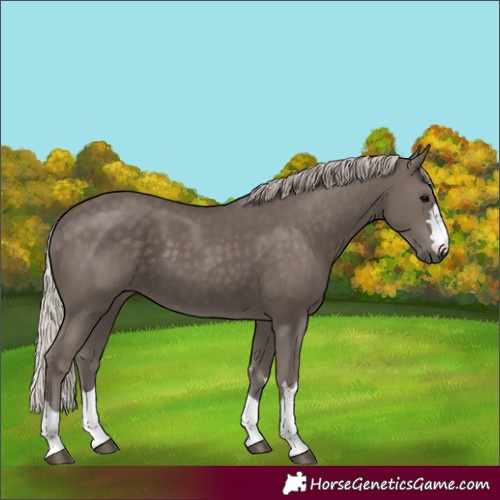 Horse Color:Silver Black 
