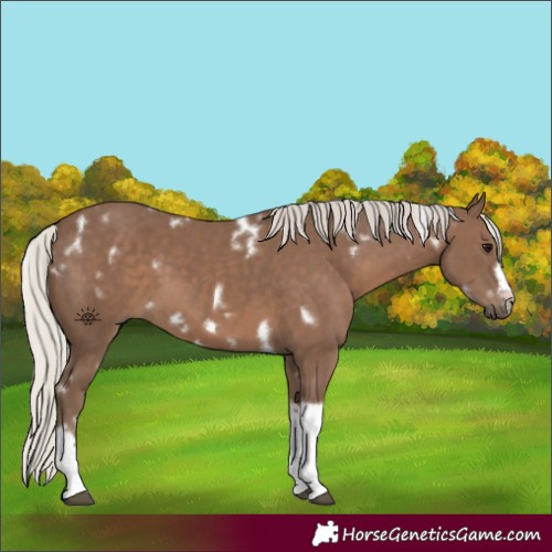 Horse Color:White Spotted Silver Black Tobiano Frame