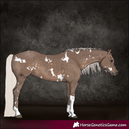 Horse Color:White Spotted Silver Black Tobiano