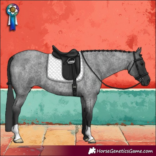 Horse Color:Blue Roan