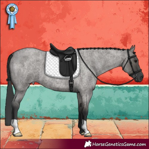 Horse Color:Grullo Roan