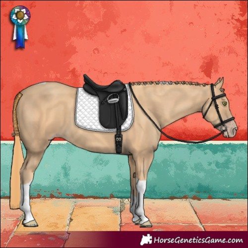 Horse Color:Gold Champagne Tobiano 
