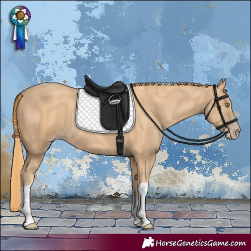 Horse Color:Gold Champagne Tobiano 