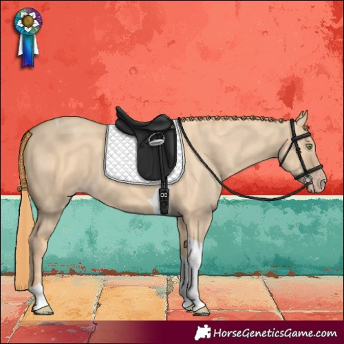 Horse Color:Gold Champagne Dun Tobiano