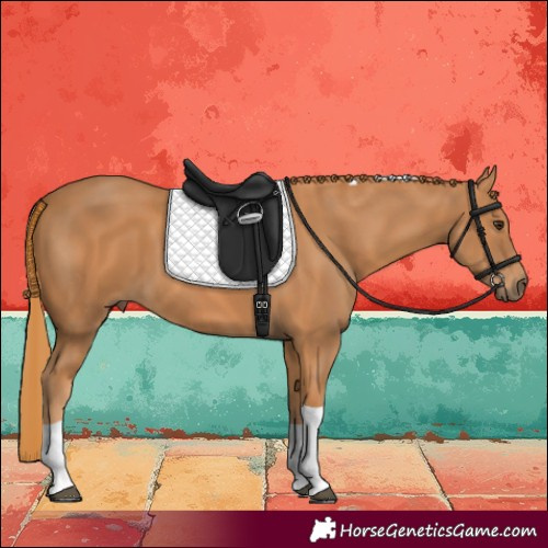 Horse Color:Chestnut Tobiano 